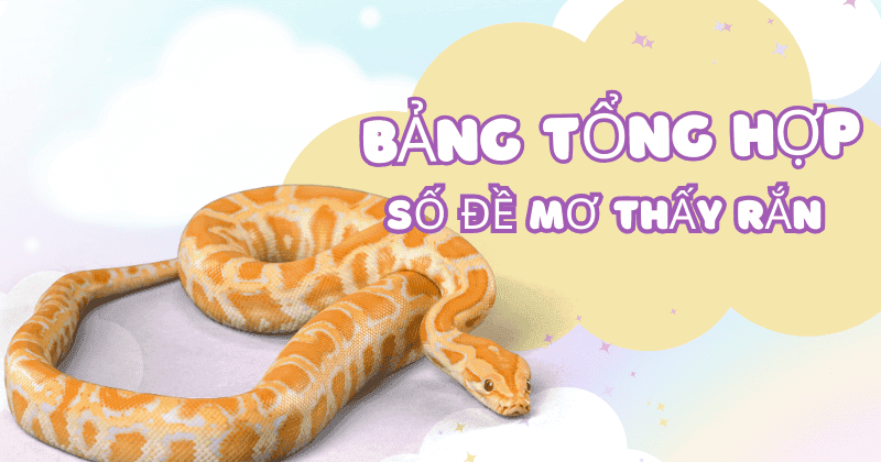 Bảng tổng hợp số đề mơ thấy rắn