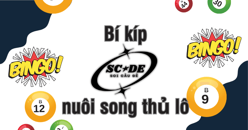 Bí kíp nuôi song thủ lô
