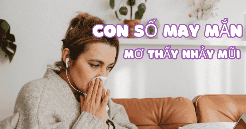 Nhảy Mũi Đánh Con Gì