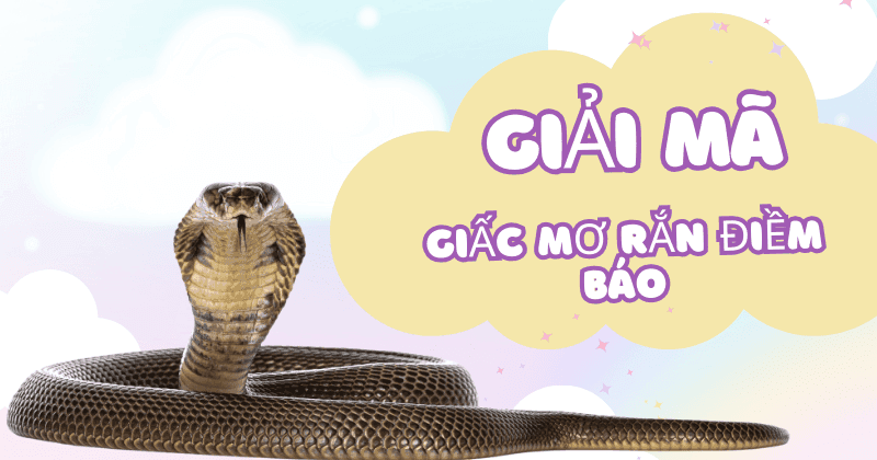 Mơ Thấy Rắn Đánh Con Gì