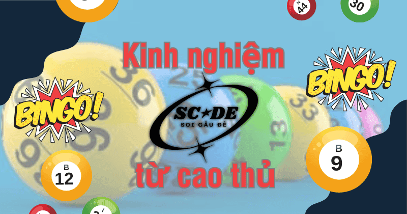 Kinh nghiệm từ cao thủ