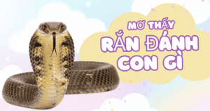 Mơ Thấy Rắn Đánh Con Gì