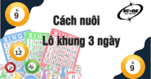 Cách nuôi lô khung 3 ngày