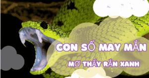 mơ thấy rắn màu xanh lá cây đánh con gì